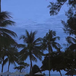 老男人爆插美女阴部狂舔
